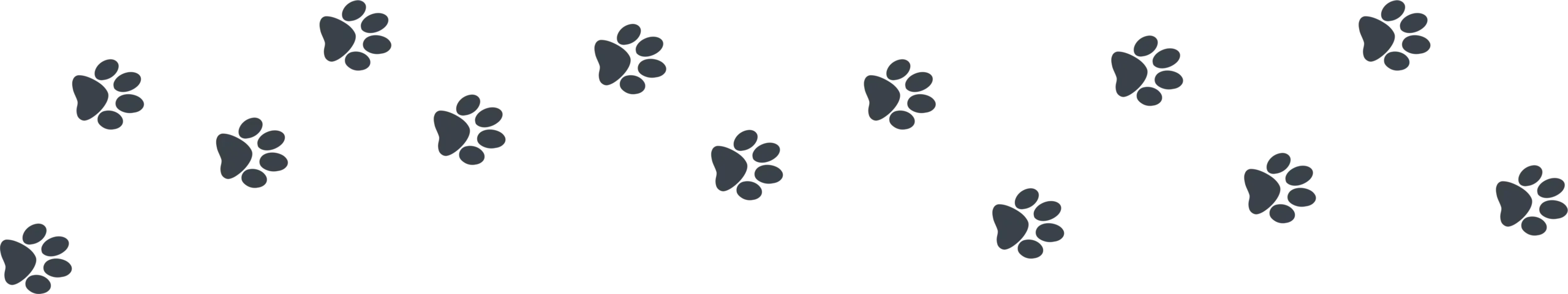 trail of small dog prints in faded color